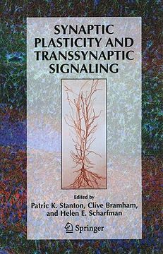 portada synaptic plasticity and transsynaptic signaling (en Inglés)