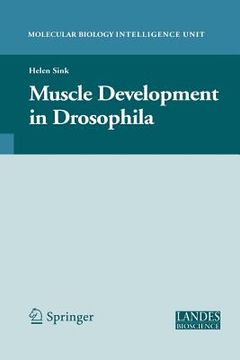 portada muscle development in drosophilia (en Inglés)