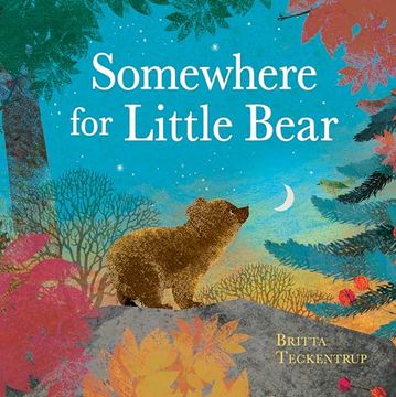 portada Somewhere for Little Bear (in English)