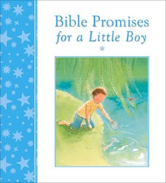portada Bible Promises for a Little Boy (in English)
