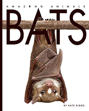 portada Bats (Amazing Animals) (in English)