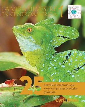 portada La vida silvestre en Centroamerica 1: 25 animales asombrosos que viven en las selvas tropicales y los rios (in Spanish)