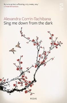 portada Sing me Down From the Dark (Salt Modern Poets)