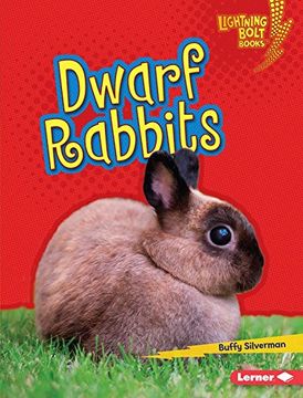 portada Dwarf Rabbits (Lightning Bolt Books)