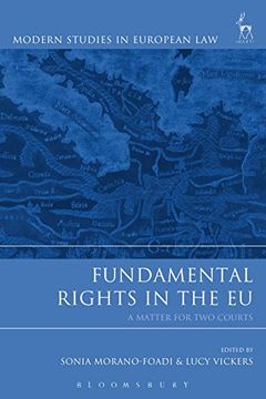 portada Fundamental Rights in the EU (Modern Studies in European Law)