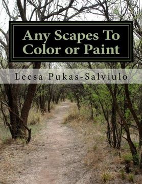 portada Any Scapes To Color or Paint