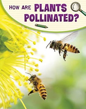 portada How are Plants Pollinated? (en Inglés)