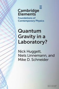 portada Quantum Gravity in a Laboratory? (Elements in the Foundations of Contemporary Physics) 