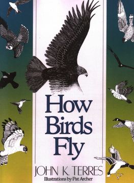 portada How Birds Fly