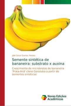 portada Semente Sintética de Bananeira: Substrato x Auxina (in Portuguese)