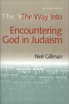 portada the way into encountering god in judaism