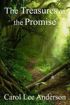 portada The Treasures of the Promise