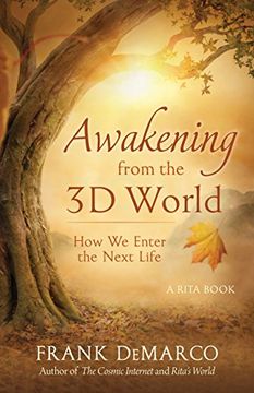 portada Awakening from the 3D World: How We Enter the Next Life - a Rita Book