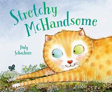 portada Stretchy Mchandsome (in English)