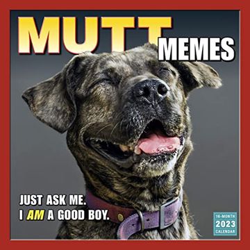 portada Mutt Memes (Wall 16 Month) 