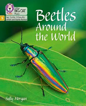 portada Big Cat Phonics for Little Wandle Letters and Sounds Revised - Beetles Around the World: Phase 5 (en Inglés)