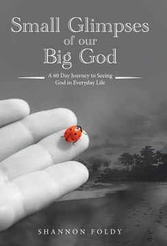portada Small Glimpses of Our Big God: A 60 Day Journey to Seeing God in Everyday Life (en Inglés)
