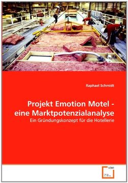 portada Projekt Emotion Motel - eine Marktpotenzialanalyse
