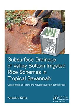 portada Subsurface Drainage of Valley Bottom Irrigated Rice Schemes in Tropical Savannah: Case Studies of Tiefora and Moussodougou in Burkina Faso (en Inglés)