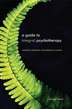 portada a guide to integral psychotherapy,complexity, integration, and spirituality in practice (en Inglés)
