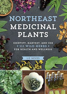 portada Northeast Medicinal Plants: Identify, Harvest, and use 111 Wild Herbs for Health and Wellness (en Inglés)
