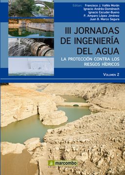 portada La Protección Contra los Riesgos Hídricos (Vol ii) (Cultura, Tècnica i Societat) (in Spanish)