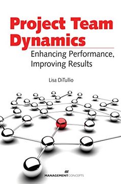 portada Project Team Dynamics: Enhamcing Performance, Improving Results
