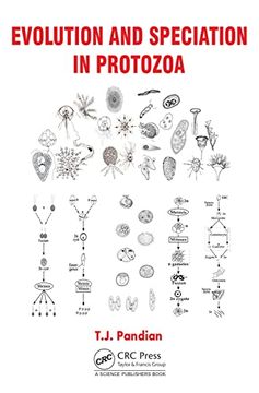 portada Evolution and Speciation in Protozoa (en Inglés)
