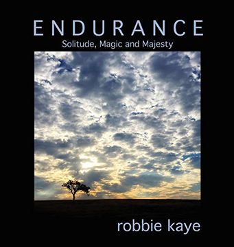 portada Endurance: Solitude, Magic and Majesty (1) (Robbie Kaye Trilogy) (en Inglés)