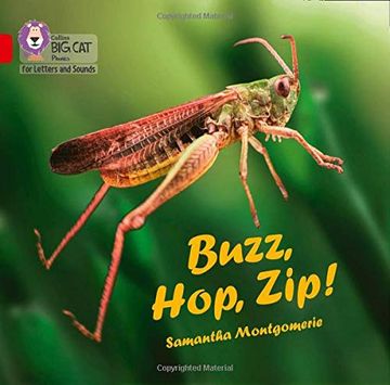 portada Buzz, Hop, Zip! Big Book: Band 02a (en Inglés)