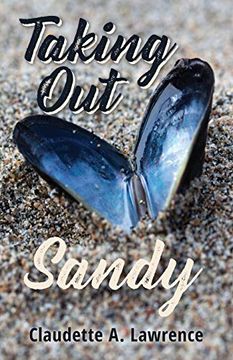 portada Taking out Sandy (in English)