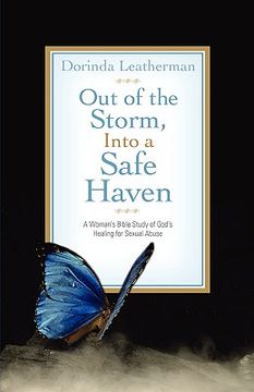 portada out of the storm, into a safe haven (en Inglés)