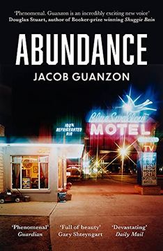 portada Abundance: Unputdownable and Heartbreaking Coming-Of-Age Fiction About Fathers and Sons