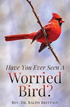 portada Have You Ever Seen A Worried Bird?