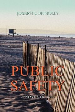portada public safety: a novel of 1941 (en Inglés)