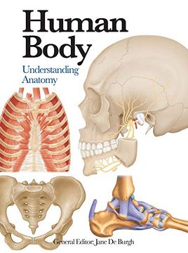 portada Human Body: Understanding Anatomy (Mini Encyclopedia) (en Inglés)
