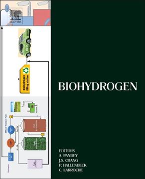 portada Biohydrogen (Biomass, Biofuels, Biochemicals) (en Inglés)