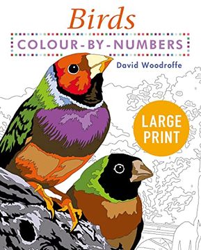 portada Large Print Colour by Numbers Birds: Easy-To-Read (en Inglés)
