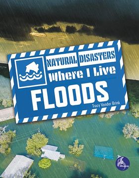 portada Floods 