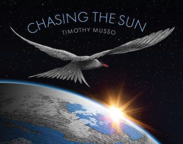 portada Chasing the sun (en Inglés)