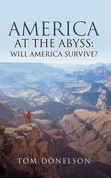 portada America At The Abyss: Will America Survive? (en Inglés)