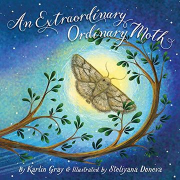 portada An Extraordinary Ordinary Moth (in English)