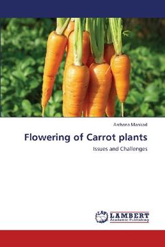 portada Flowering of Carrot Plants