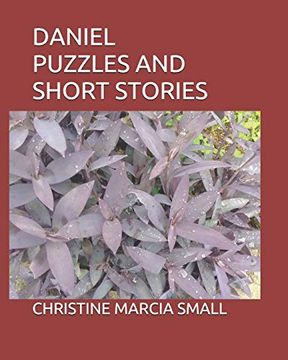 portada Daniel Puzzles and Short Stories (in English)