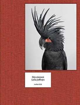 portada Leila Jeffreys - des Oiseaux (en Francés)