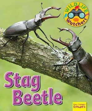 portada Wildlife Watchers: Stag Beetle (Ruby Tuesday Readers)