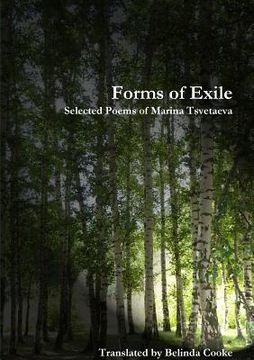 portada Forms of Exile (en Inglés)