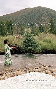 portada Black Gathering: Art, Ecology, Ungiven Life (Black Outdoors: Innovations in the Poetics of Study) (en Inglés)