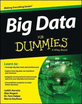 portada big data for dummies (en Inglés)