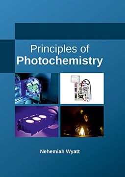 portada Principles of Photochemistry (en Inglés)
